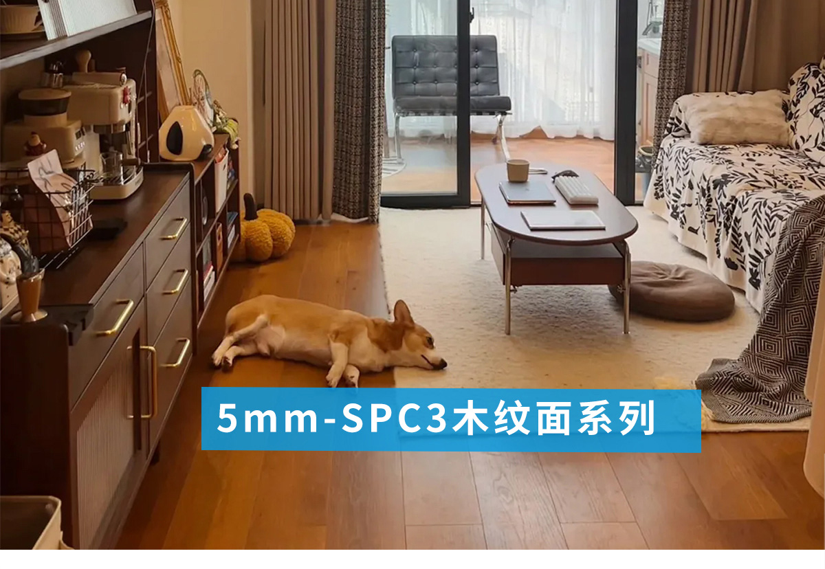5mm-SPC3木紋面系列_01.jpg